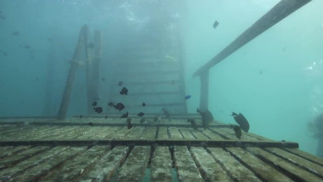 Scuba divers negotiate ocean surge to exit water using steps of wooden pier