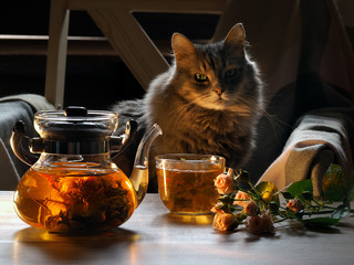 Green tea is brewed in a transparent chaynike.Zavarka in the form of a flower. On the table with a...