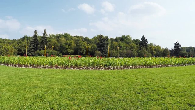 Flower Garden in city park