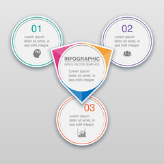 Vector infographic 