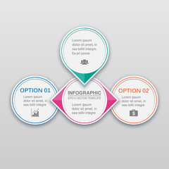 Vector infographic 