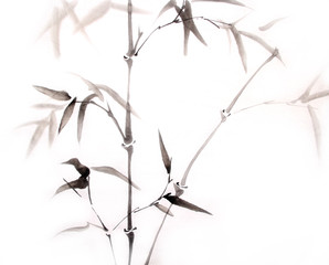 bamboo ink painting hand drawn