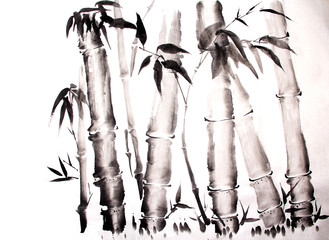 bamboo ink painting hand drawn