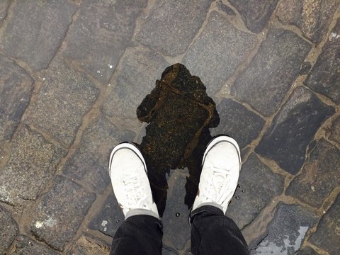 myself in refrection