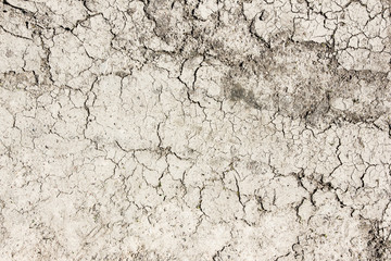 Dry cracked mud ground texture. 