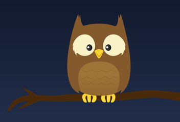 Simple owl on a tree branch at night