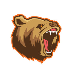 Bear head mascot