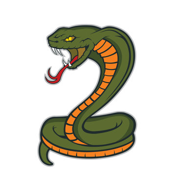 Cobra snake mascot