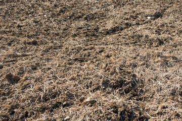 the soil cultivation in Japan