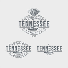 Теннесси, эмблема штата Америки на светлом фоне