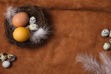Easter eggs in a nest