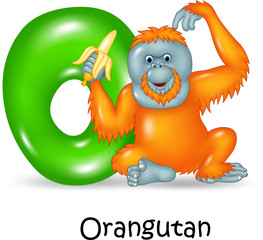 Illustration of O Letter for Orangutan © tigatelu