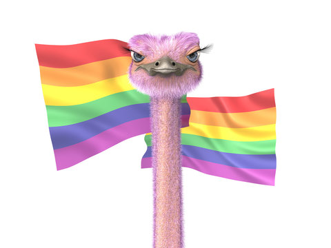 An extravagant ostrich is getting ready for the Gay Pride