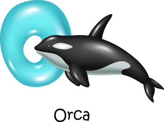 Illustration of O Letter for Orca 