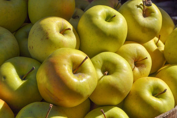 Yellow apple fruit