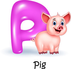 Naklejka premium Illustration P of letter for Pig 