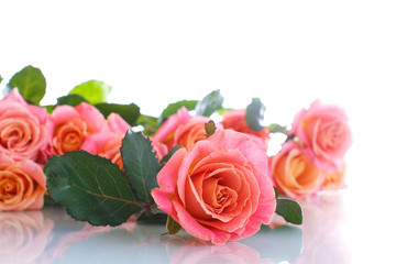 bouquet of pink roses