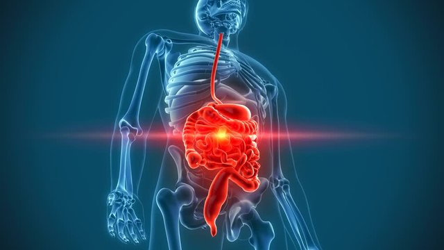 organs pain