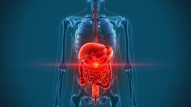 organs pain