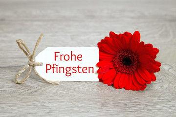 Frohe Pfingsten