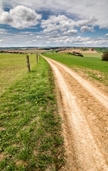 Spring countryside with dirt road through green pastures