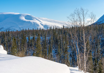 Winter landscape of snowy mountains. In the foreground Birch.