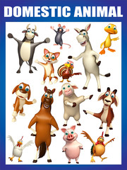 domastic animal chart