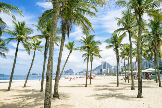 Scenic view of Copacabana Beach through palm trees from the Leme neighborhood in Rio de Janeiro, Brazil