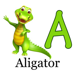 Aligator with alphabate