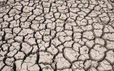 dry soil arid. drought land textured backgrounds