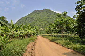 Fototapeta na wymiar The dirt road from countryside in thailand 
