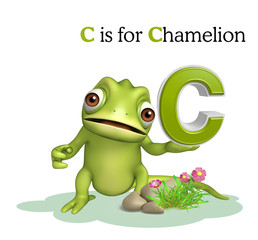 Chamelion wild animal with alphabate