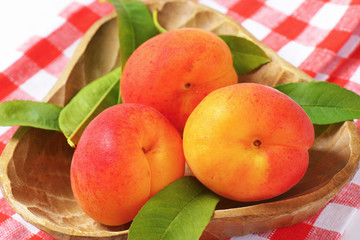 Fresh apricots