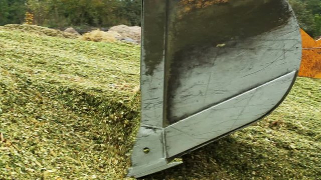 Preparation of feed for livestock