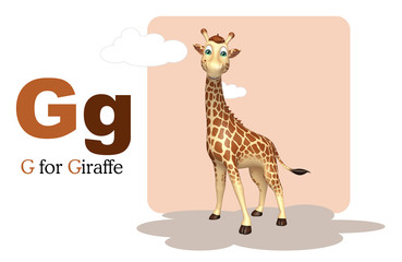 Giraffe wild animal with alphabate
