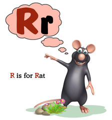 Rat pet animal with alphabet