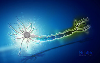 Digital illustration of neuron cell