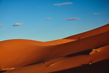 Naklejka na ściany i meble Empty desert dunes lit by the red light of the setting sun. Sahara Desert, Merzouga, Morocco