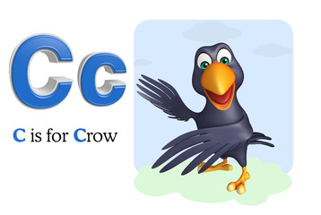 wild animal collection