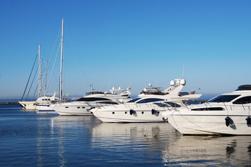 Fototapeta premium White yachts in the port