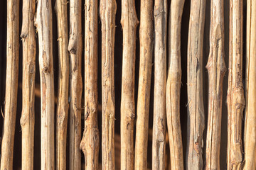 wood wall texture pattern