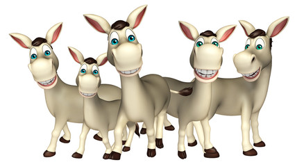 Donkey Collection