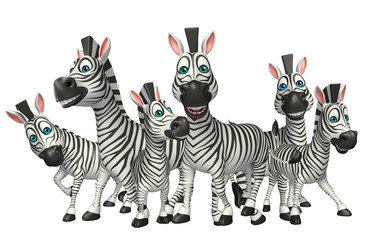 Zebra collection