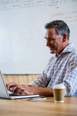 Man using laptop in office