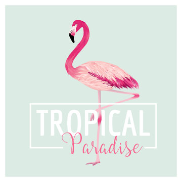 Tropical Bird. Flamingo Background. Summer Design. Vector. T-shirt Design