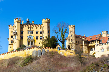 Fototapeta na wymiar The castle of Hohenschwangau in Germany