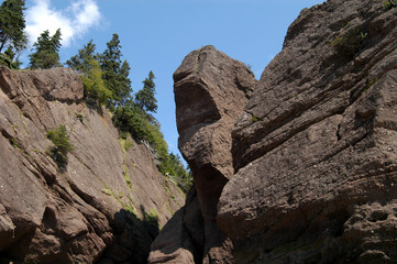Hopewell Rocks in der Bay of Fundy, Kanada