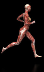 Fototapeta na wymiar Running woman with visible muscles on black