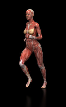 Running woman with visible muscles on black
