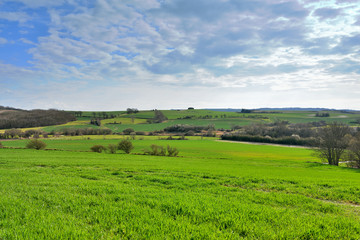 Obraz premium paysage de campagne au printemps